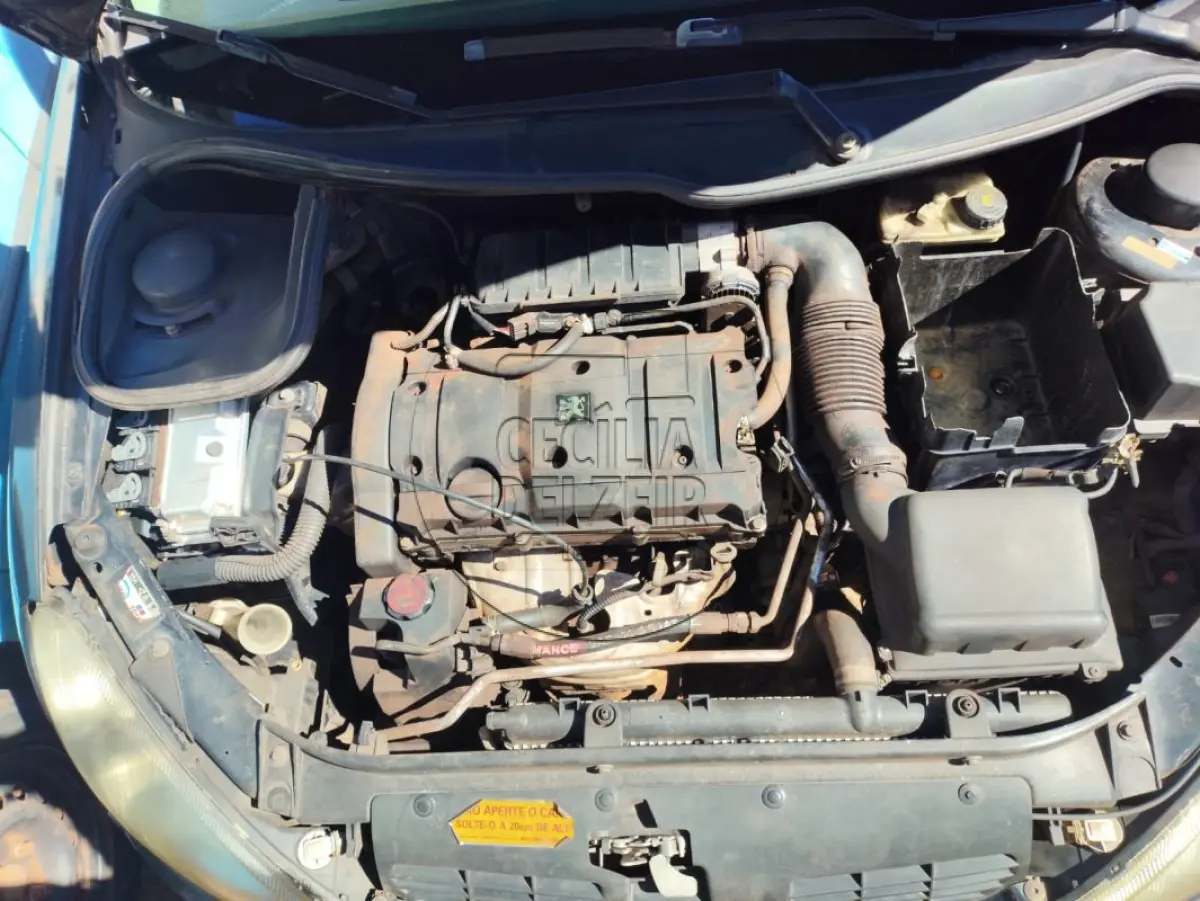 LOTE 013 - PEUGEOT 206 SELECT