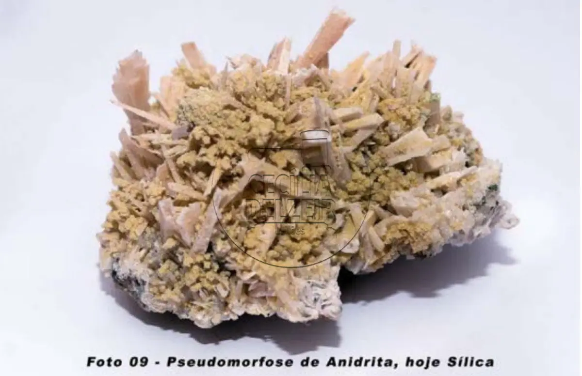 LOTE 001 - Coleção Exclusiva de Minerais e Formações Geológicas