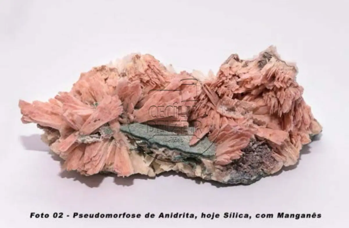 LOTE 001 - Coleção Exclusiva de Minerais e Formações Geológicas