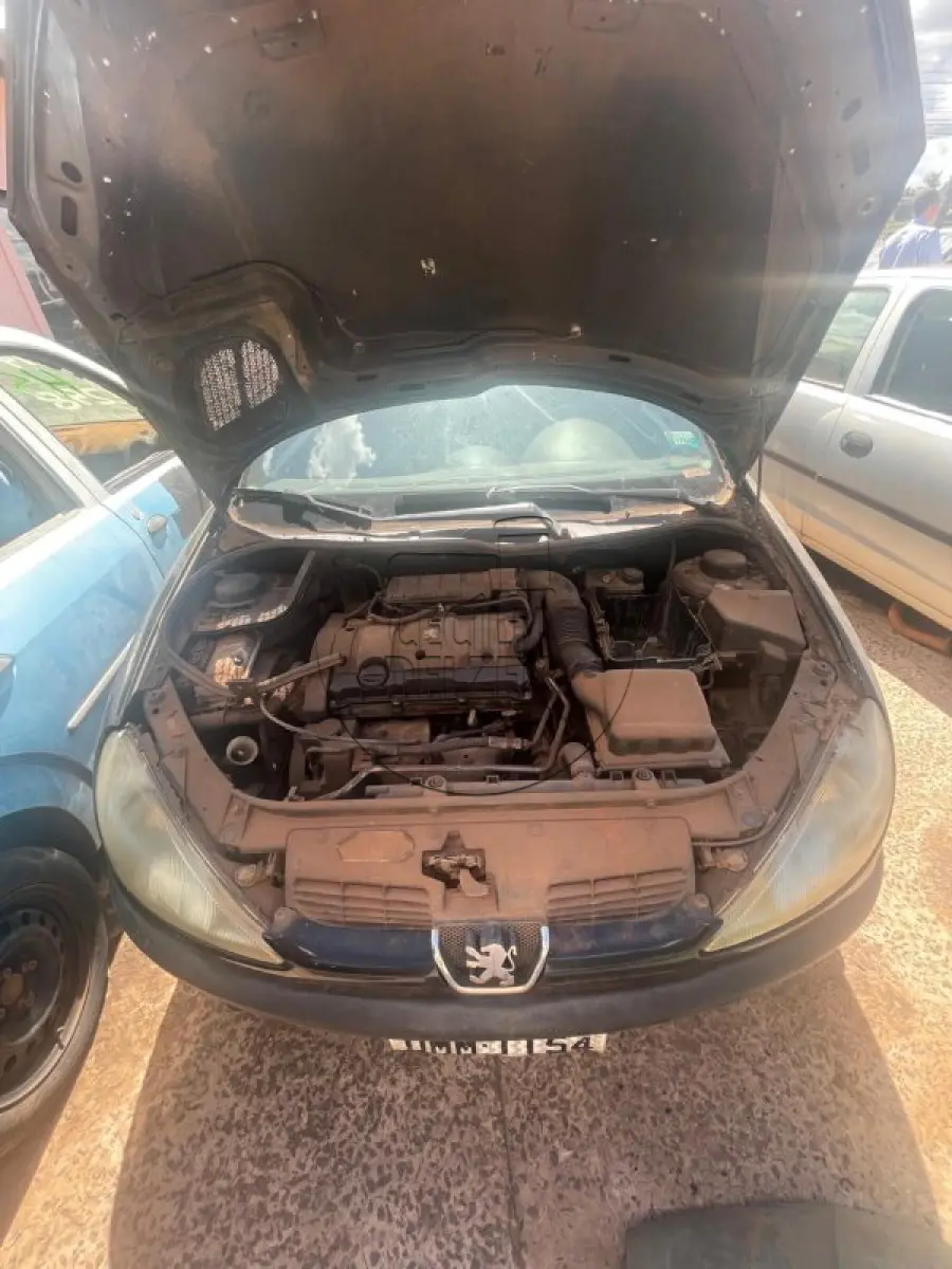 LOTE 030 - PEUGEOT 206 SELECT