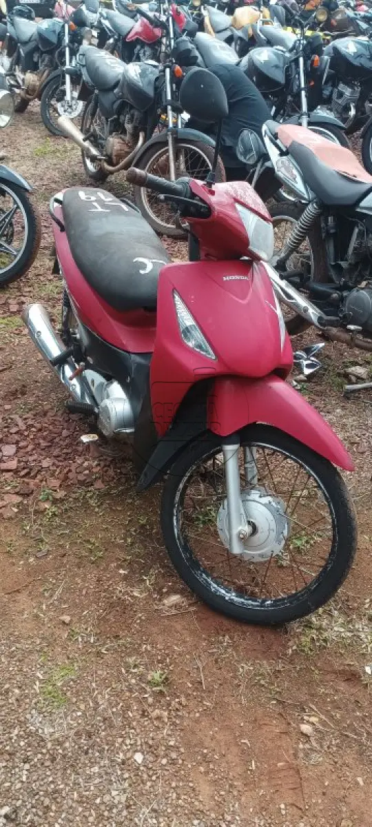 LOTE 0019