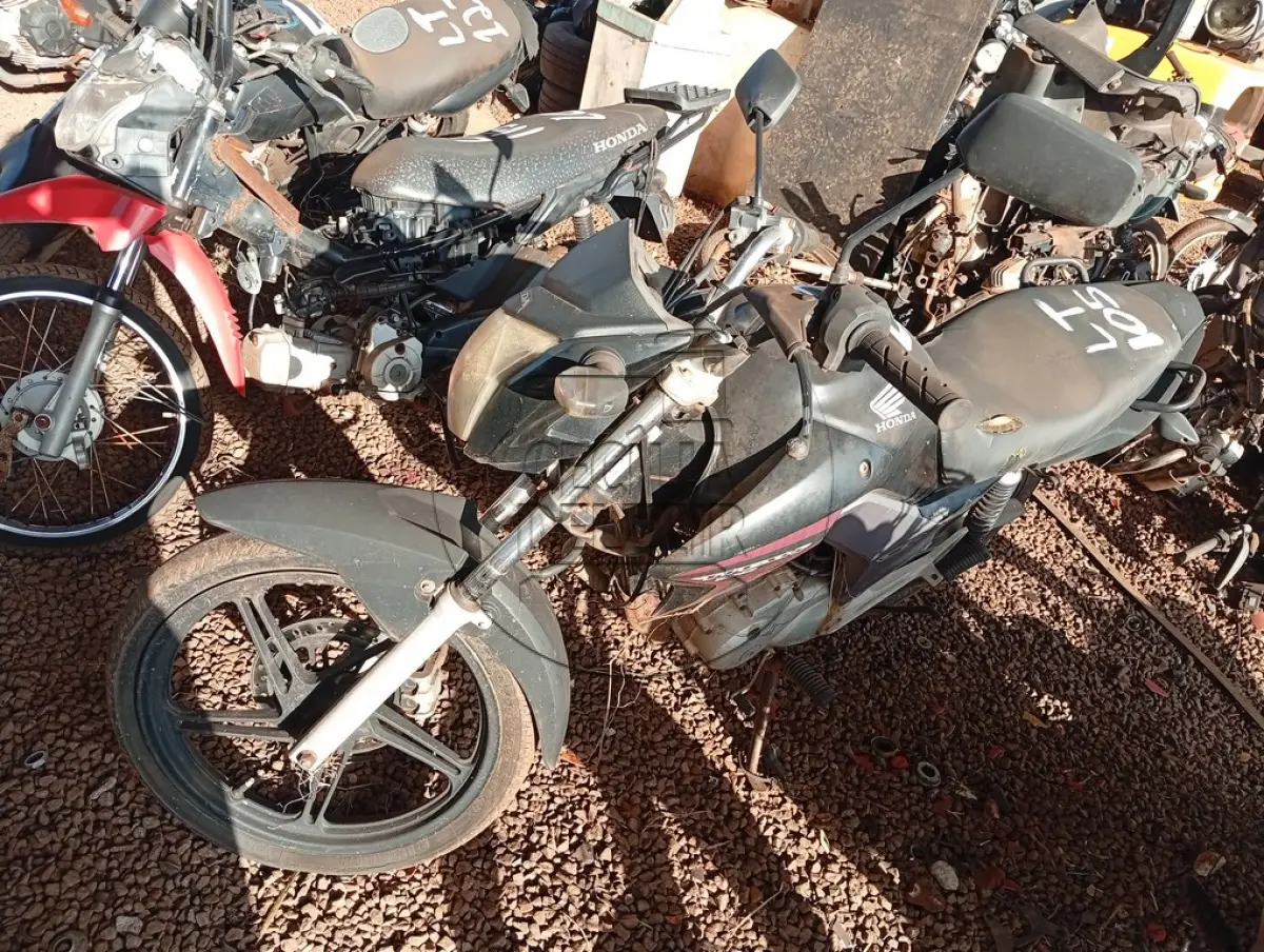 LOTE 0105