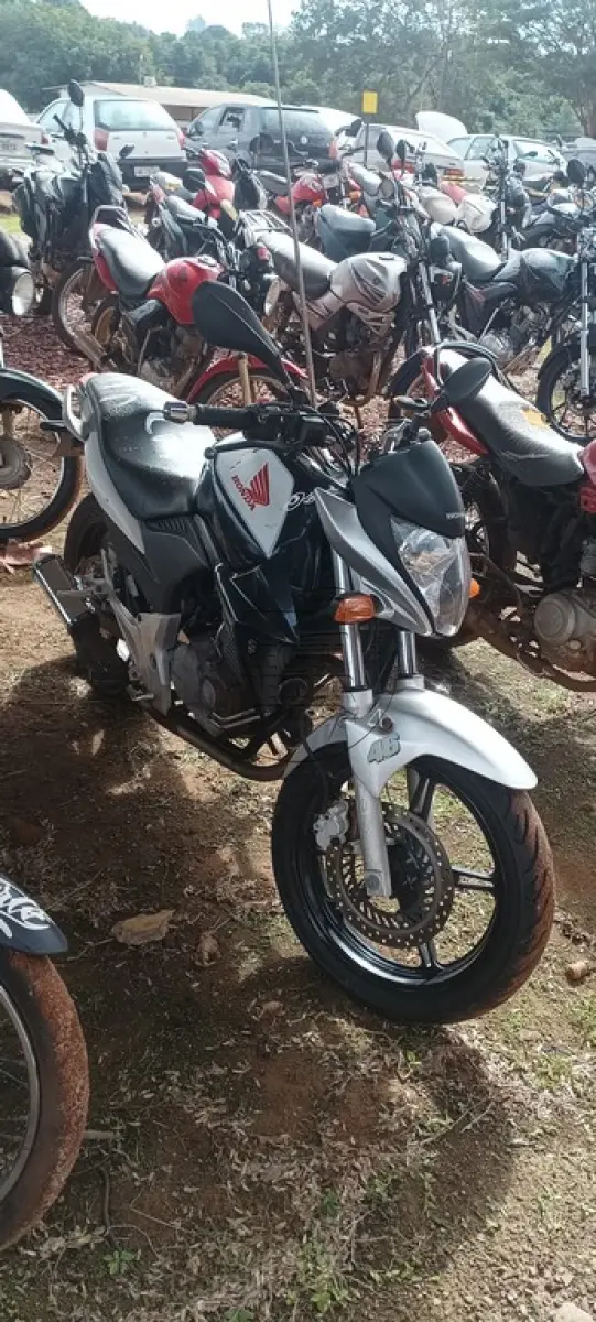 LOTE 0072