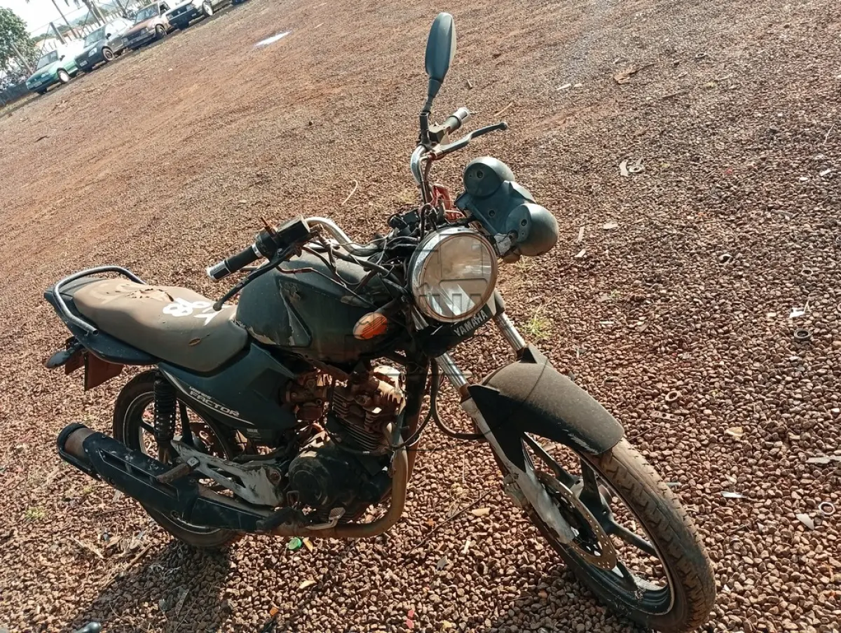 LOTE 0098