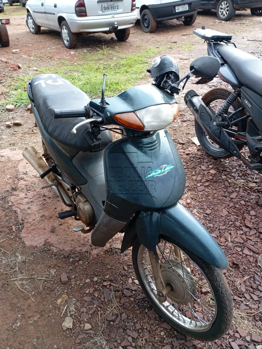 LOTE 0031