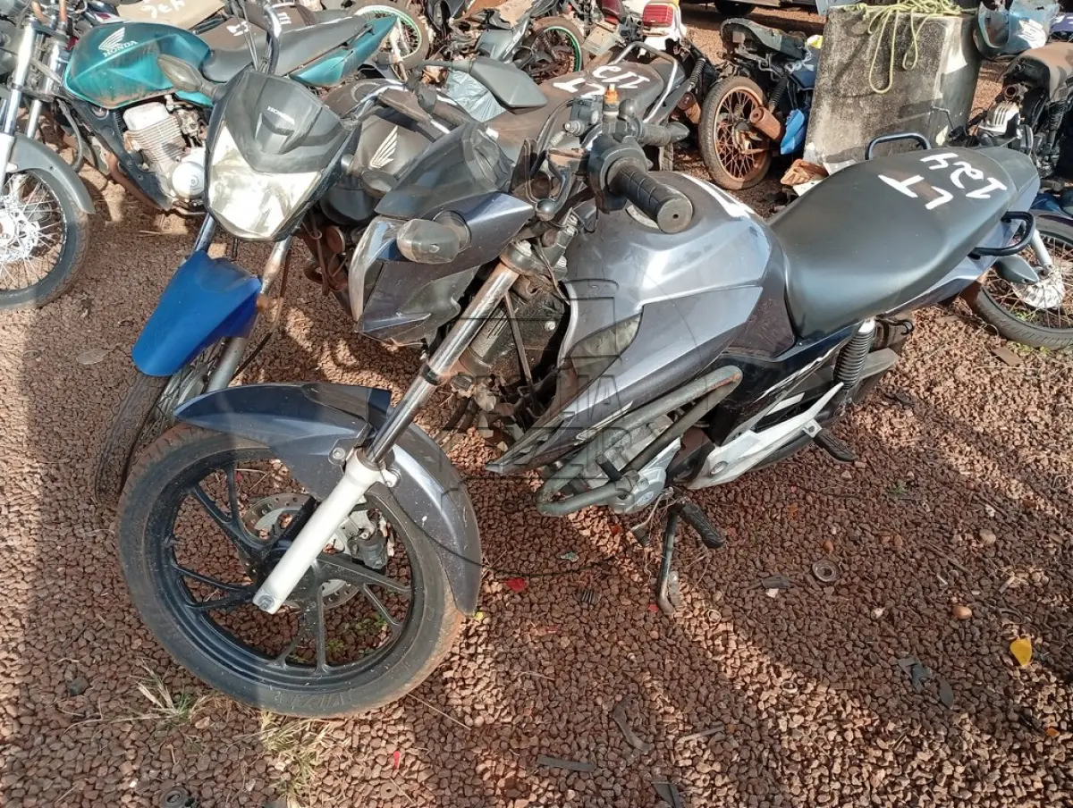 LOTE 0124