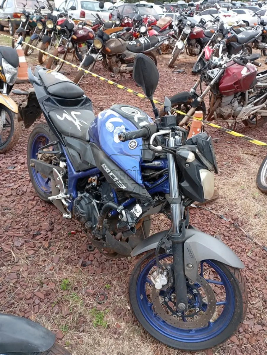 LOTE 0060