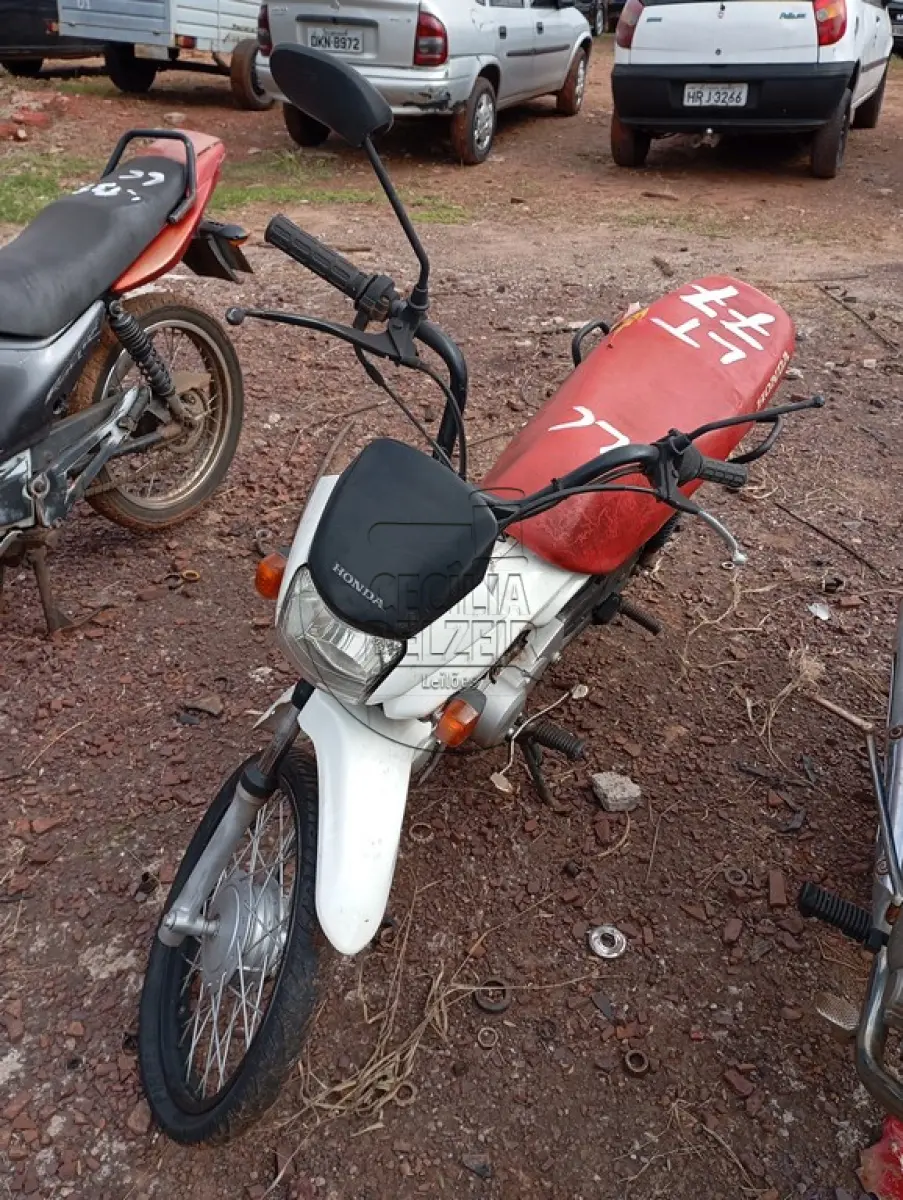 LOTE 0077