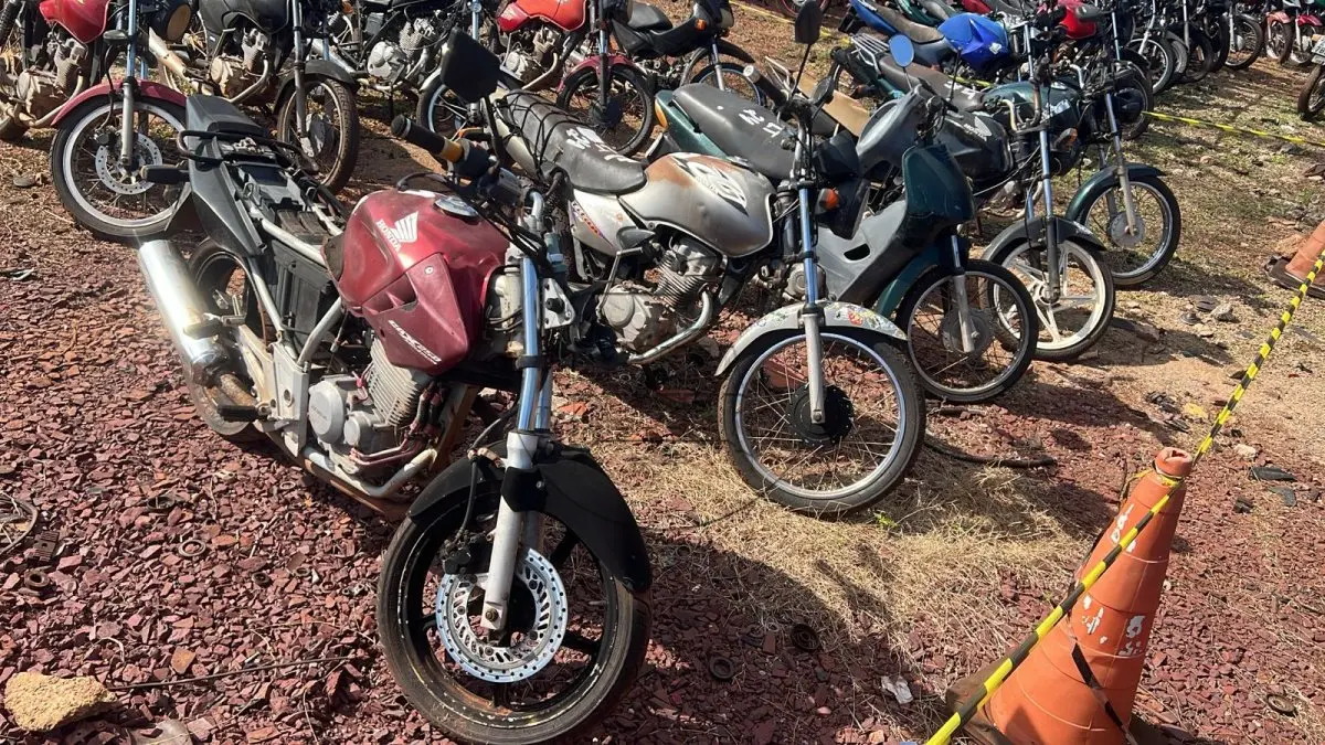 LOTE 0024