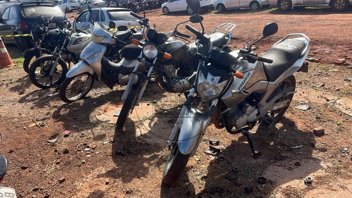 LOTE 0029