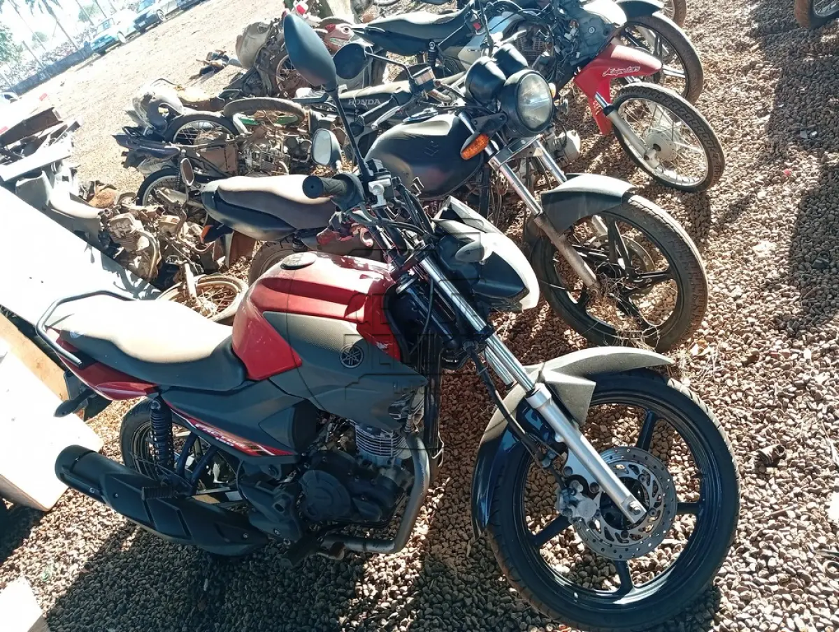 LOTE 0100