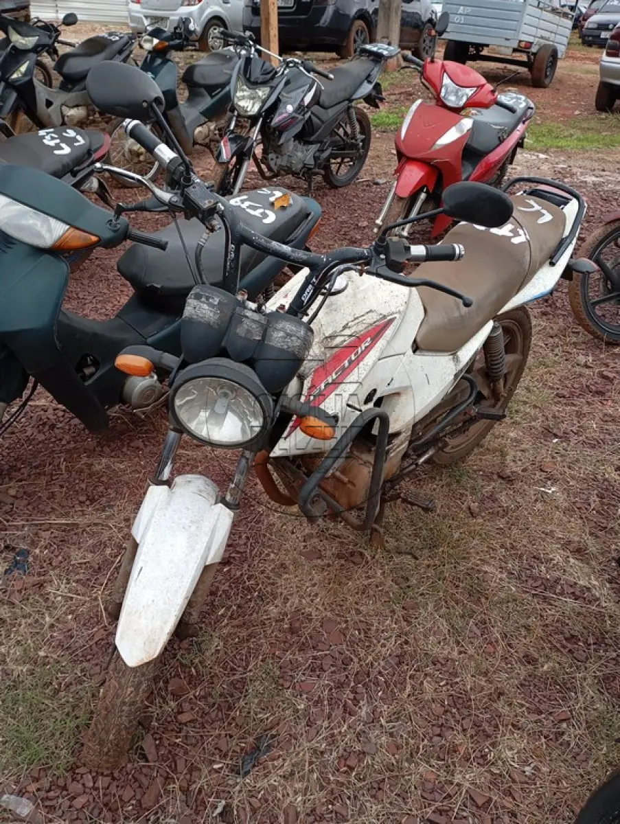 LOTE 0029