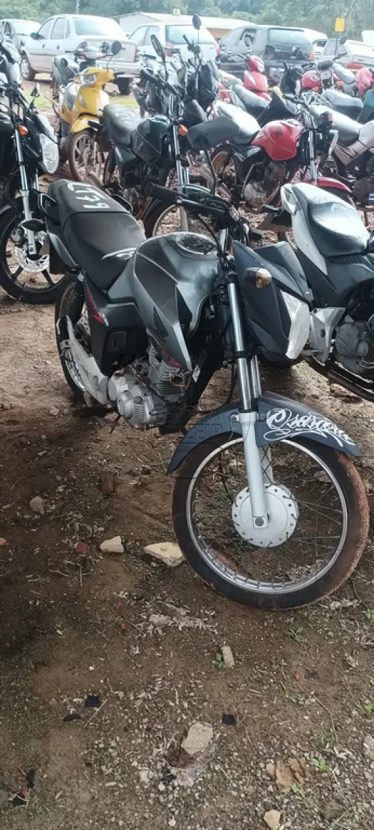 LOTE 0079