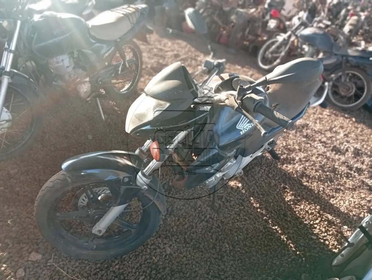 LOTE 0113