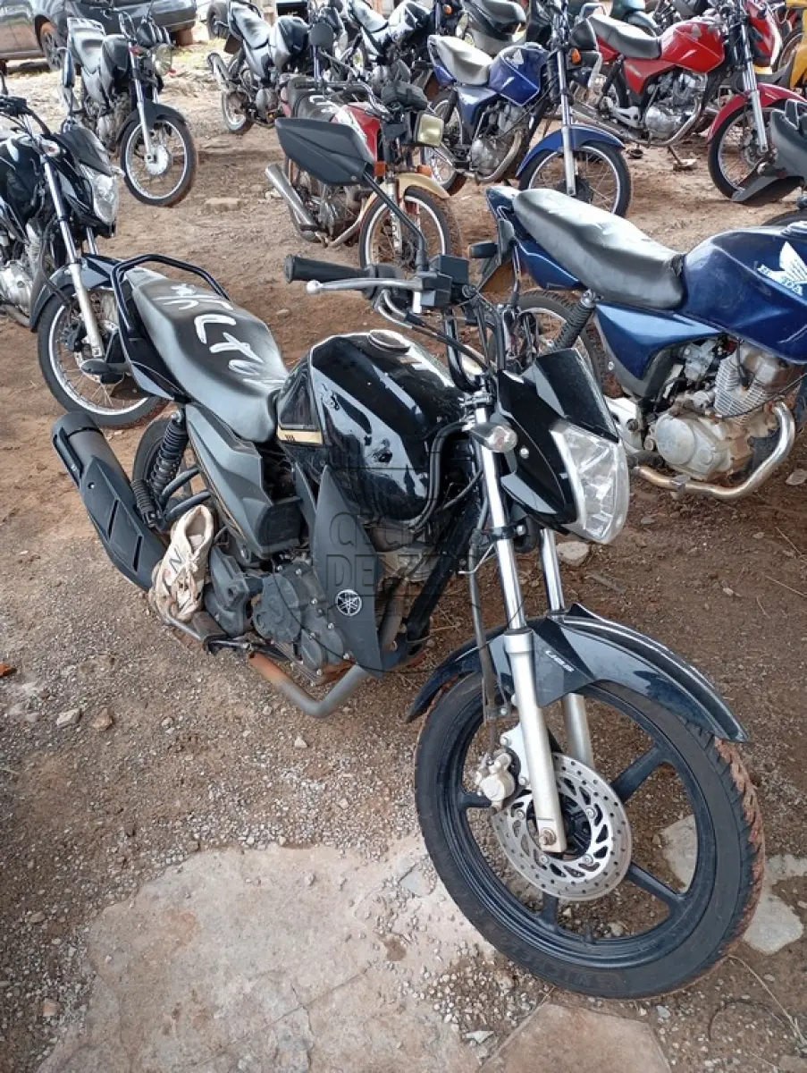 LOTE 0061