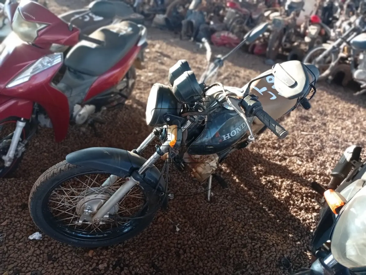 LOTE 0110