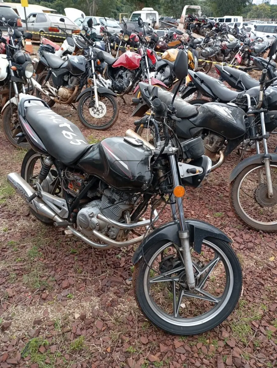 LOTE 0065