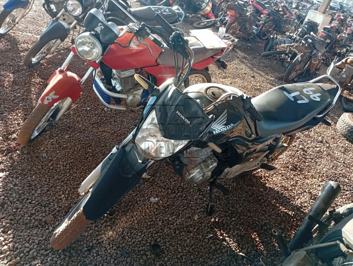 LOTE 0099