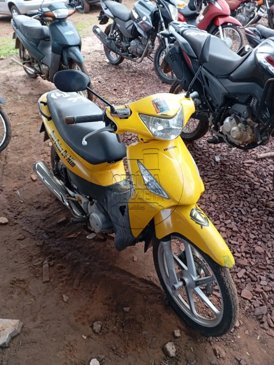 LOTE 0043