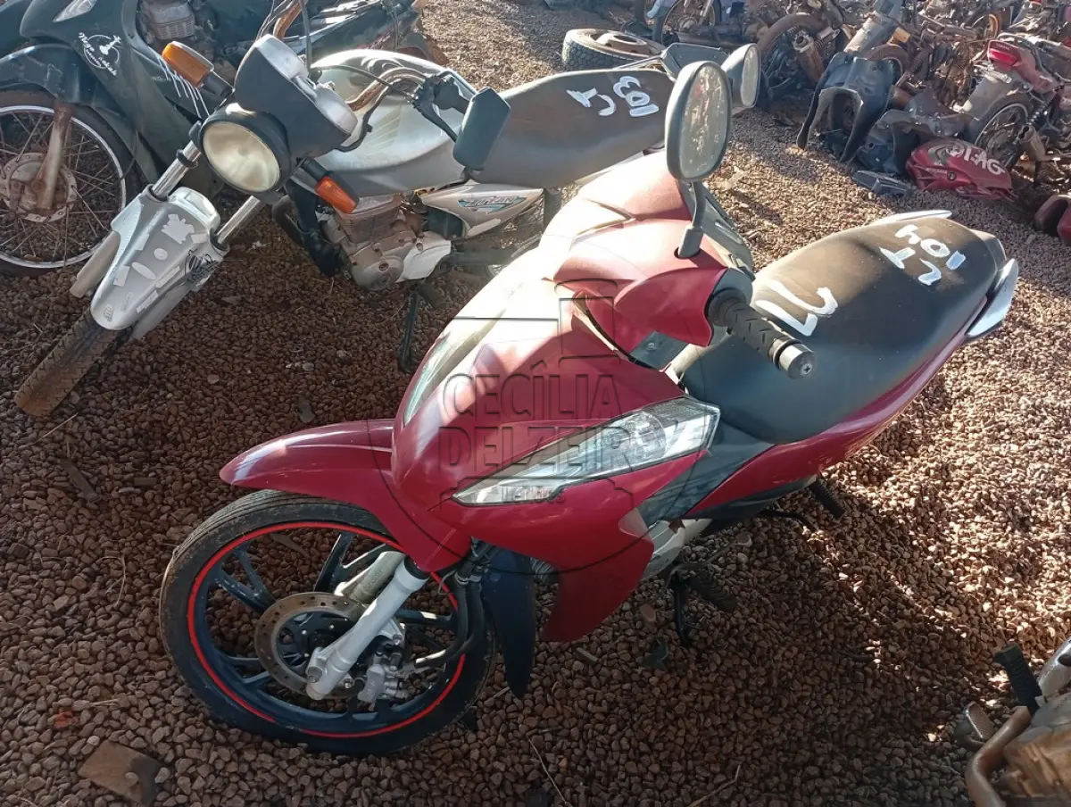 LOTE 0104
