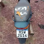 Foto 5