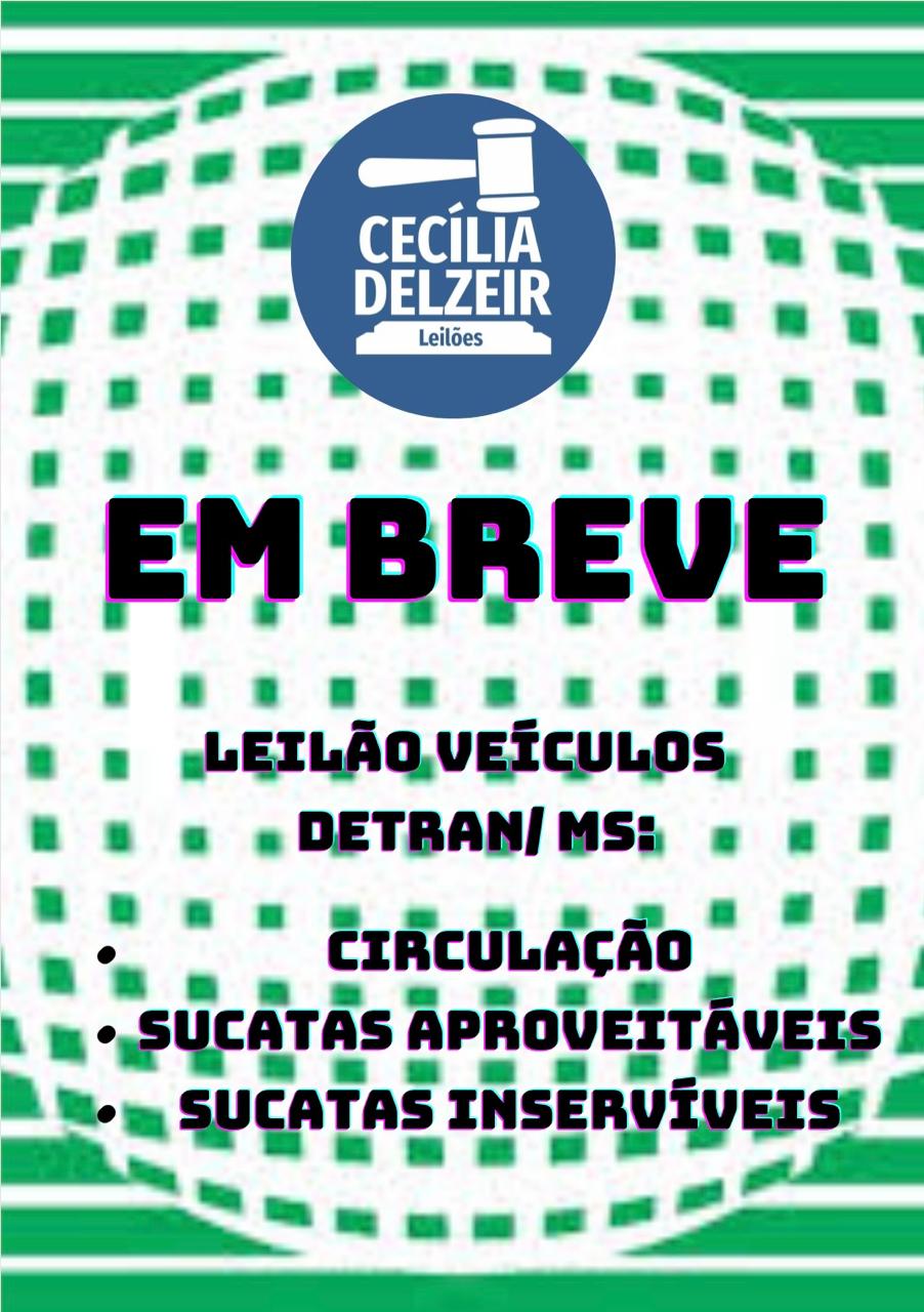 EM BREVE LEILÃO DE VEÍCULOS DETRAN-MS